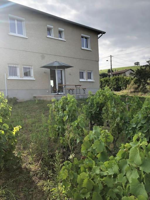 Petit Gite De Javernieres Rez De Jardin Вилье-Моргон Экстерьер фото